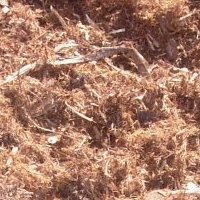 Redwood mulch